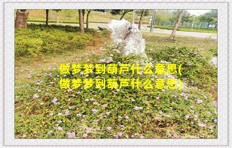 做梦梦到葫芦什么意思(做梦梦到葫芦什么意思)