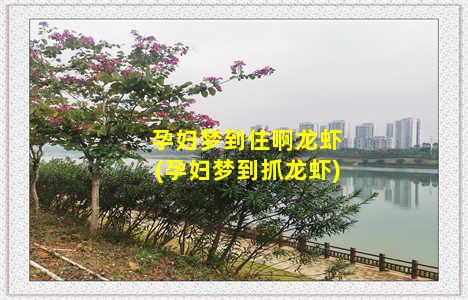 孕妇梦到住啊龙虾(孕妇梦到抓龙虾)