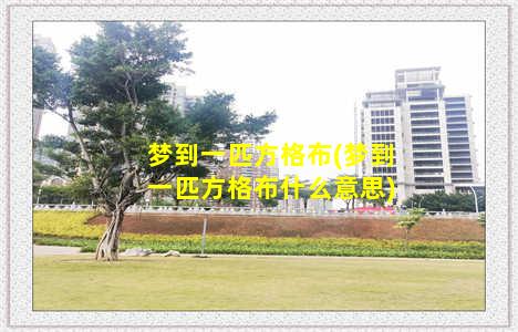 梦到一匹方格布(梦到一匹方格布什么意思)