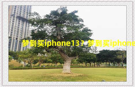 梦到买iphone13？梦到买iphone