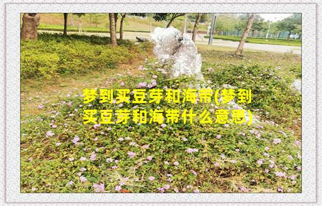 梦到买豆芽和海带(梦到买豆芽和海带什么意思)