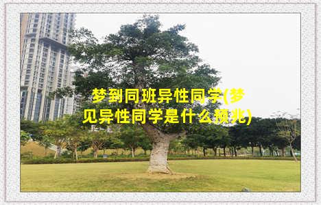 梦到同班异性同学(梦见异性同学是什么预兆)