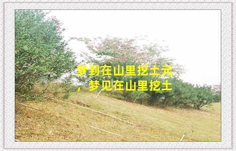 梦到在山里挖土元，梦见在山里挖土