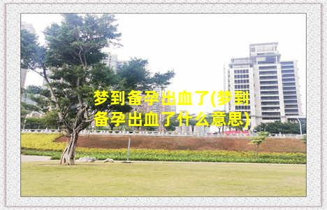 梦到备孕出血了(梦到备孕出血了什么意思)