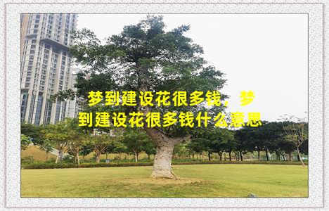 梦到建设花很多钱，梦到建设花很多钱什么意思