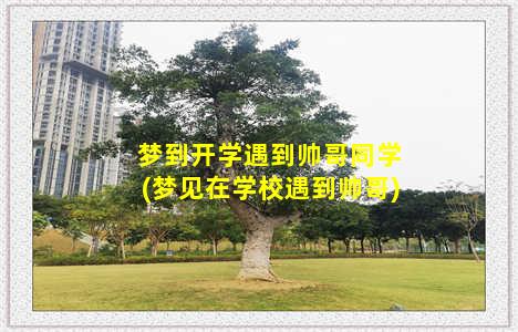 梦到开学遇到帅哥同学(梦见在学校遇到帅哥)