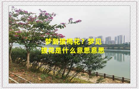 梦到拔梅花？梦见拔花是什么意思意思