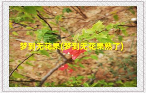 梦到无花果(梦到无花果熟了)