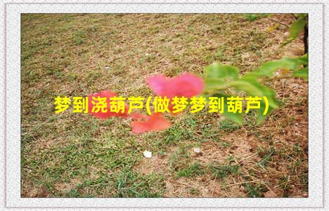 梦到浇葫芦(做梦梦到葫芦)