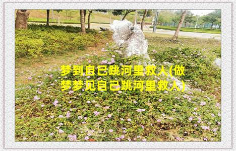 梦到自已跳河里救人(做梦梦见自己跳河里救人)