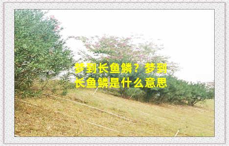 梦到长鱼鳞？梦到长鱼鳞是什么意思