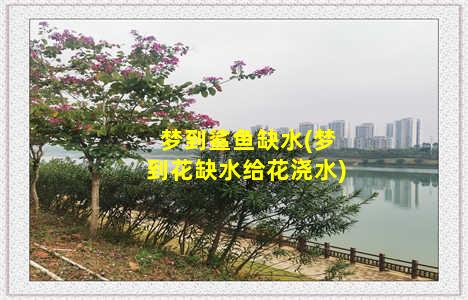 梦到鲨鱼缺水(梦到花缺水给花浇水)