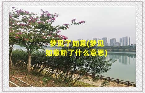 梦见了如意(梦见如意断了什么意思)