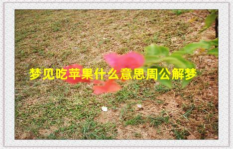 梦见吃苹果什么意思周公解梦