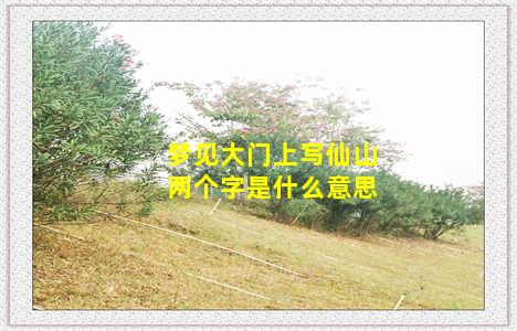 梦见大门上写仙山两个字是什么意思