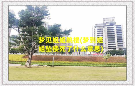 梦见姐姐跳楼(梦到姐姐坠楼死了什么意思)