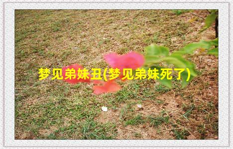 梦见弟妹丑(梦见弟妹死了)