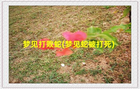 梦见打败蛇(梦见蛇被打死)