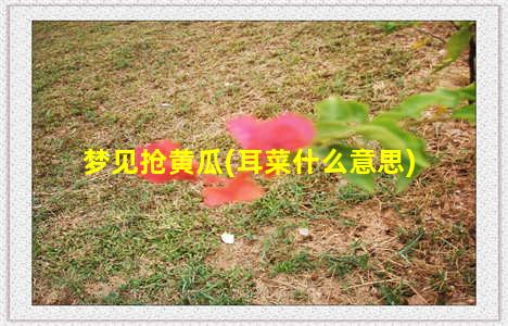 梦见抢黄瓜(耳菜什么意思)