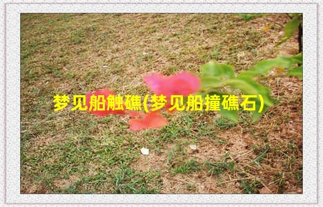 梦见船触礁(梦见船撞礁石)